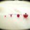 1.5mm optical factory offer ball or half ball blank lenses for diode