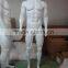 strong male muscle mannequin