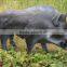3D Mold Wild Pig Archery Target