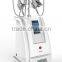 Guangzhou BL HOT SALE Vertical Spa Use Cryolipolysis Fat Freezing Weight Loss Machine for Sale