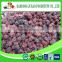 New crop Chinese iqf dried blackberry fruit for juice