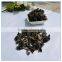 Dried Black Fungus in Ear Chinese Medicine