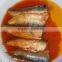 ready to eat fish canned sardine canned in tomato sauce