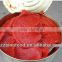 70g packing 400g packing canned tomato paste from China