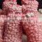 China fresh normal white garlic can provide