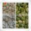 snow white all kinds pumpkin seeds