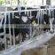 sheep/buffalo/bull/cow /corral panel/ paddock fence/farm gates/cattle fence galvanized fencing