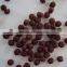 pet food extruder