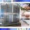 Fruits And Vegetable Quick Freezing Machine Grapes Spiral Blast Freezer