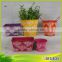 Good design eco-friendly hot garden split pot planter