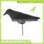 new design plastic dead crow decoy flocking kit