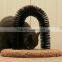 cat animal purrfect arch