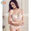 Hsz-28801 Ladies Bra and Panty New Design Woman Underwear Panty Lingerie Stylish Hot Sexy Bridal Bra Panty Set Images