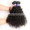 wholesale virgin malaysian hair, 100% unprocessed malaysian virgin hair, malaysian hair curly bundles