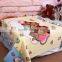 2017  supplier 100% cotton fabric microfiber filling baby summer blanket