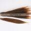 best quality 30-40cm pheasant feather