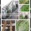 movable grass chaff cutter machine|straw crusher machine for animal feed processing (SKype:jeanmachinery)