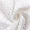 Border Embroidery Lace Cotton Embroidered Fabric Voile