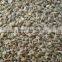 Superior Quality Organic Roasted Ajwain Seeds At Your Door Step