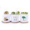 Japanese style grocery fresh cartoon white flower pot