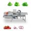 Fully Automatic Broccoli Processed Fruits And Vegetables  Washing Machine Drying Machine With CE