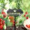 Satisfaction Guaranteed Label Name Acrylic Pot Custom Outdoor Slate Plant Markers