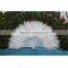 Good quality Child turkey feather fan Party supplies                        
                                                Quality Choice