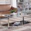 LIving room RB-1311 Modern black stoving varnish rectangular tempered glass coffee table with stainless steel tea table