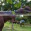 Jurassic Park 3d Movies Life-size Animatronic Dinosaur