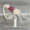 Girls flower headband belt Wholesale