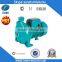 CPM Small Centrifugal Water Pump