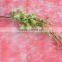 Exquisite promotional natural orchid
