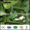 Hot sale decorative artificial vertical plants garden fence