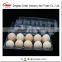 4 cell disposable plastic quail eggs tray PVE PET