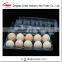10pcs Egg Tray Plastic Carton