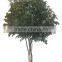 Custom Size Real Trunk Large Artificial Tree