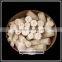 PTFE solid moulded bar rod
