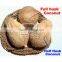 Price of Coconut