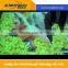 interactive multi touch screen bar table interactive floor projection