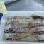 Frozen Squid Illex Whole Round