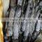 Wholesale blue frost fur pelts from china