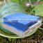 Lumini 200R1 5w led greenhouse led the lamp