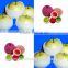 Food Grade Expand PE Foam Fruit Net