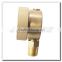 High quality brass bottom mount pressure gauge subsea