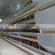 design layer chicken cages