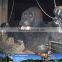 My Dino-C061 Amusement park life size gorilla model for sale
