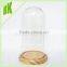Home decoration, holiday decoration&gift tall round dome glass // Wholesale bell jars dome glass