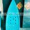 New design blue one piece PE plastic skimboard/Surfboard