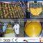 Mango pulp manufacturing process