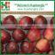 Chinese Red Sweet Tianshui Huaniu apple/apple market price